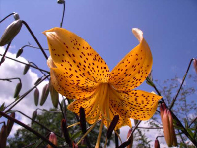 K640_PICT0581.JPG