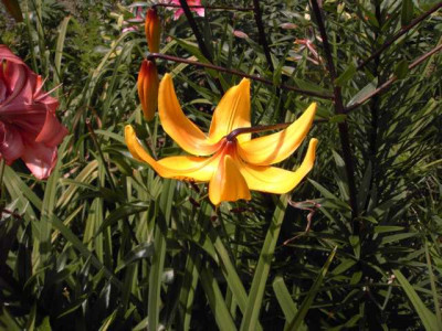 K640_PICT0585.JPG