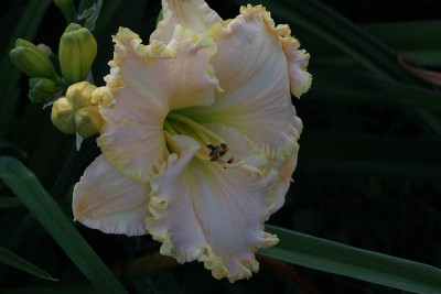 egon_10_8372.jpg
