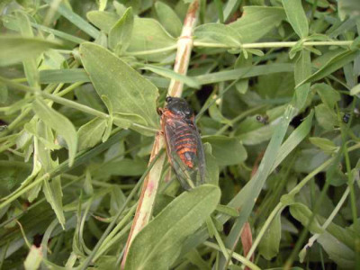 K640_PICT0588.JPG