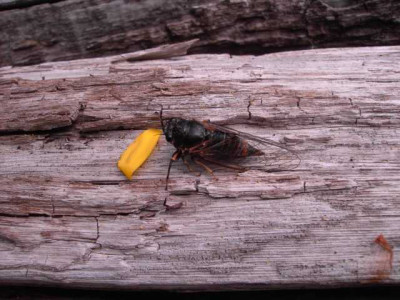 K640_PICT0590.JPG