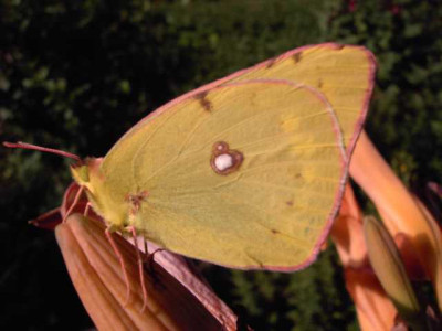 K640_PICT0522.JPG