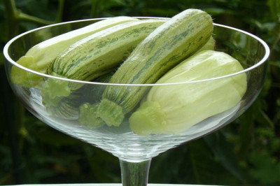 12.07.2009.60.JPG