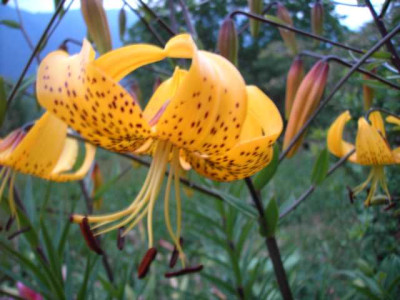 K640_PICT0627.JPG