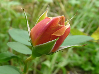 Heimkehrer_07_09_02.JPG