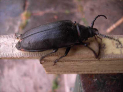 K640_PICT0667.JPG