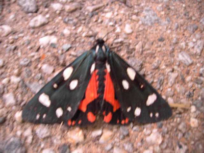 K640_PICT0656.JPG