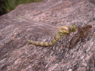 K640_PICT0641.JPG