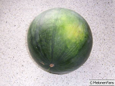 f2_05.jpg