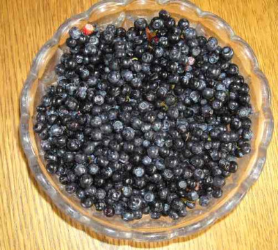 DSCN1495.jpg