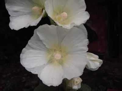 K640_PICT0692.JPG