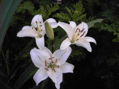 K640_PICT0687.JPG
