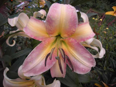 K640_PICT0685.JPG