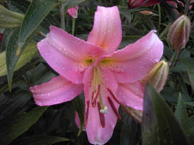 K640_PICT0673.JPG