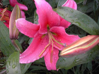 K640_PICT0672.JPG