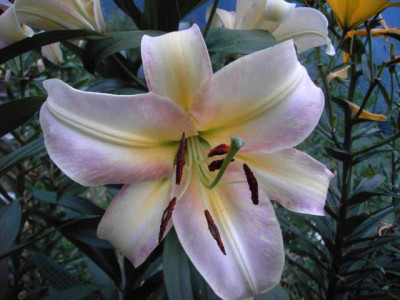 K640_PICT0612.JPG