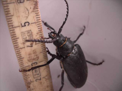 K640_PICT0664.JPG