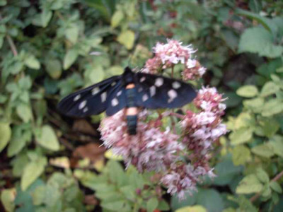 K640_PICT0670.JPG