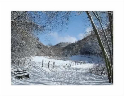 Winter_im_Muhltal_bei_Abenden_-_Naturpark_Nordeifel_580x450.jpg