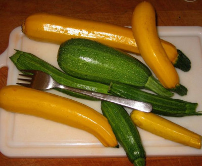 20090715_zucchini_003.jpg