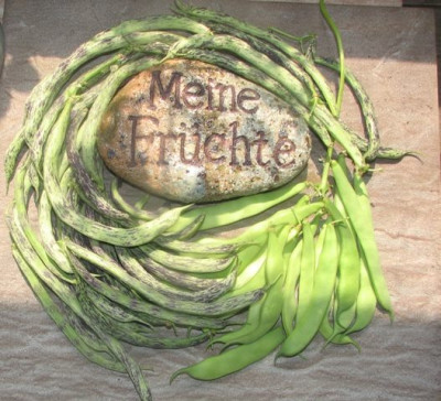 ernte07_16_1.JPG