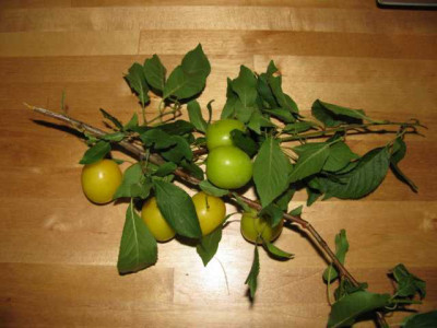 K640_IMG_0765.JPG