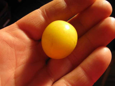 K640_IMG_0768.JPG