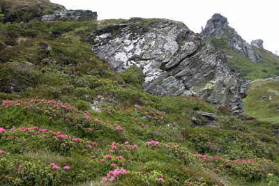Schlossalm0109.jpg