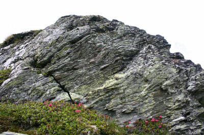 Schlossalm0509.jpg
