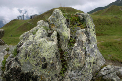 Schlossalm0909.jpg