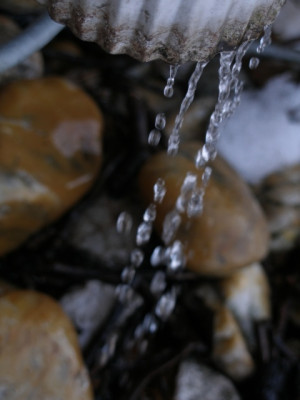 tauwetter.jpg