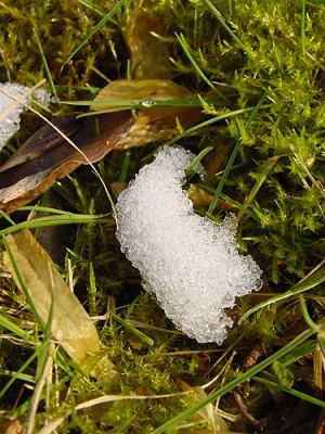 schneerest_4_maerz.jpg