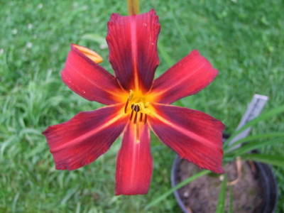 DSCF5996.JPG