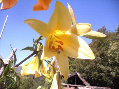 K640_PICT0784.JPG