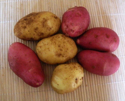 DSCN2378.JPG