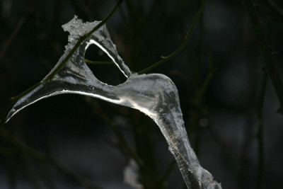 Eis-Marz-1.jpg