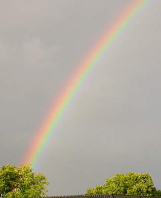 Regenbogen_Farbskala.jpg