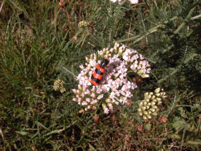 K640_PICT0755.JPG
