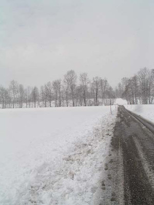gerade_schnee.jpg