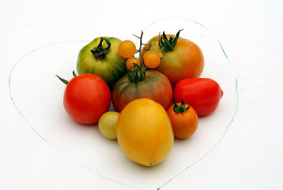ich_liebe_Tomaten.JPG