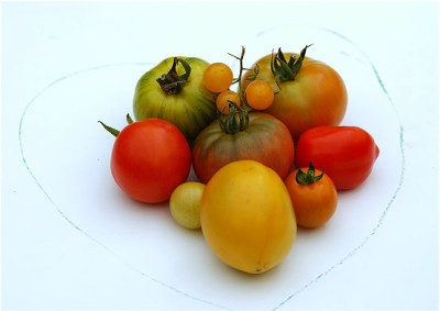 ich_liebe_Tomaten_3.JPG