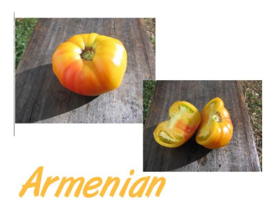 armenian2009.jpg