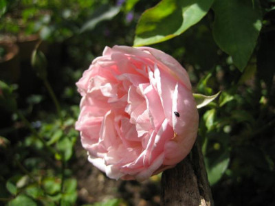 IMG_5846_Small.JPG