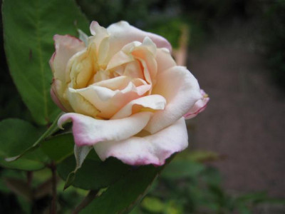 IMG_5837_Small.JPG