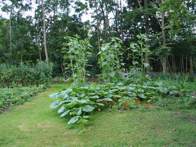 Garten-geduldet-axel.jpg
