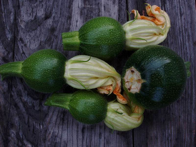zucchini22072009_zg.jpg