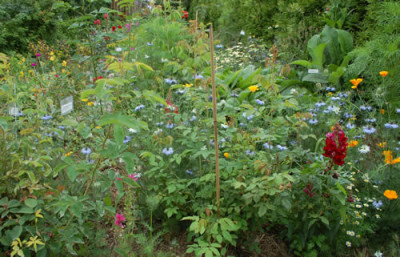 Kunterbunt_0010__54498.jpg
