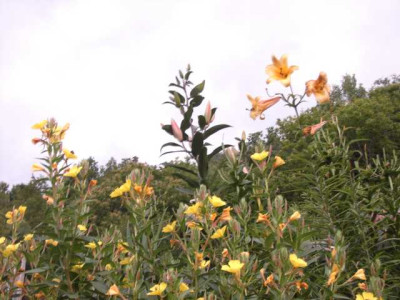 K640_PICT0835.JPG
