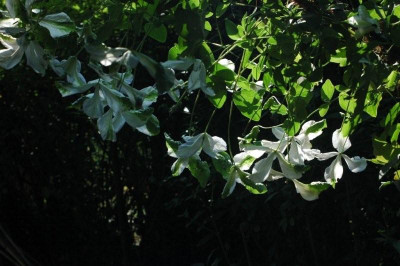 22._07._2009_094.jpg