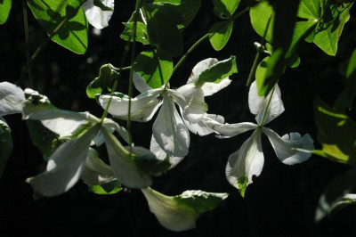 22._07._2009_093.jpg